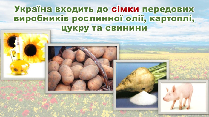 Україна входить до сімки передових виробників рослинної олії, картоплі, цукру та свинини