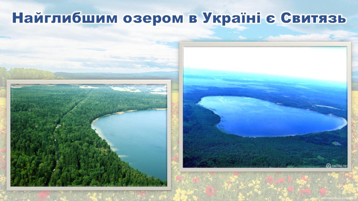 Найглибшим озером в Україні є Свитязь 