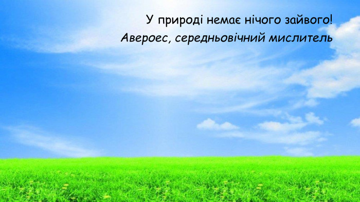 У природі немає нічого зайвого!Авероес, середньовічний мислитель