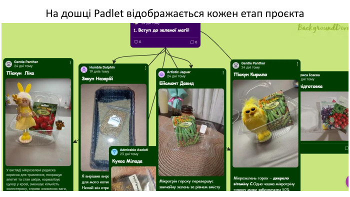 На дошці Padlet відображається кожен етап проєкта
