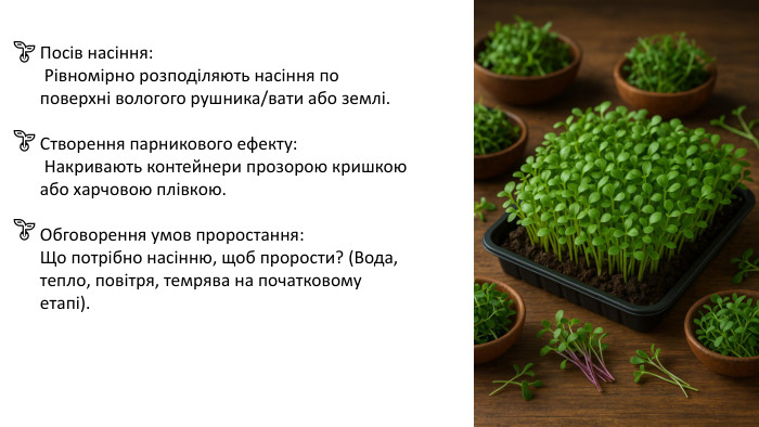 Посів насіння: Рівномірно розподіляють насіння по поверхні вологого рушника/вати або землі. Створення парникового ефекту: Накривають контейнери прозорою кришкою або харчовою плівкою. Обговорення умов проростання: Що потрібно насінню, щоб прорости? (Вода, тепло, повітря, темрява на початковому етапі).🌱🌱🌱