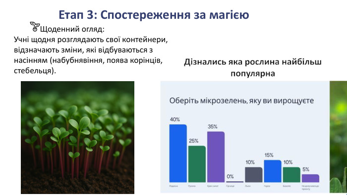 Етап 3: Спостереження за магією. Дізнались яка рослина найбільш популярна	Щоденний огляд: Учні щодня розглядають свої контейнери, відзначають зміни, які відбуваються з насінням (набубнявіння, поява корінців, стебельця).🌱