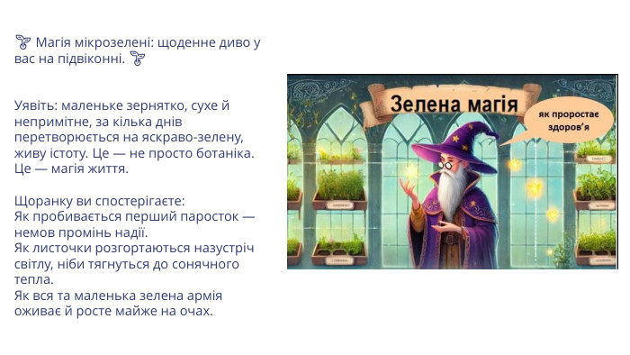 🌱 Магія мікрозелені: щоденне диво у вас на підвіконні. 🌱Уявіть: маленьке зернятко, сухе й непримітне, за кілька днів перетворюється на яскраво-зелену, живу істоту. Це — не просто ботаніка. Це — магія життя. Щоранку ви спостерігаєте: Як пробивається перший паросток — немов промінь надії. Як листочки розгортаються назустріч світлу, ніби тягнуться до сонячного тепла. Як вся та маленька зелена армія оживає й росте майже на очах.