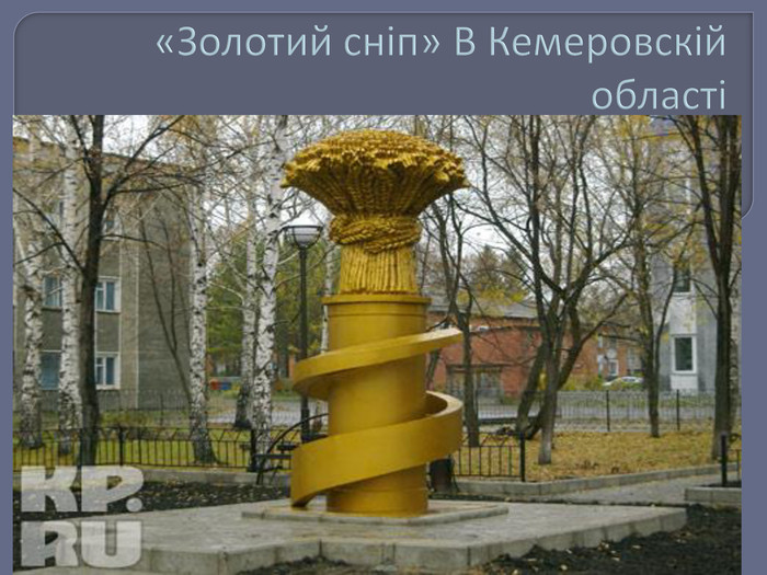 «Золотий сніп» В Кемеровскій області  
