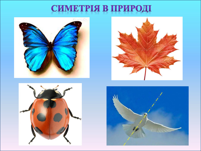 Симетрія в природі