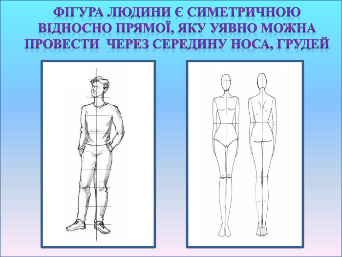 Фігура людини є симетричною відносно прямої, яку уявно можна провести через середину носа, грудей