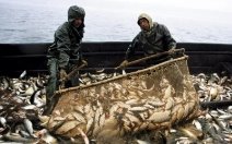 ukraina-sdala-rossii-rybolovstvo