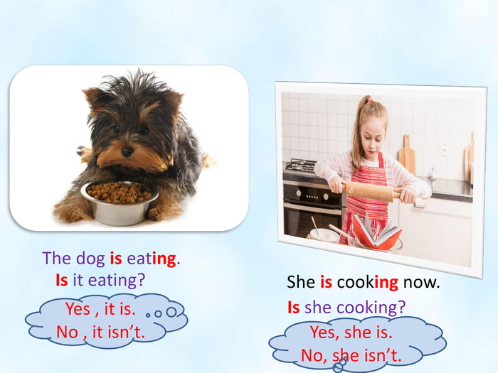 She is cooking now. The dog is eating. Is it eating?Is she cooking?Yes , it is. No , it isn’t. Yes, she is. No, she isn’t.