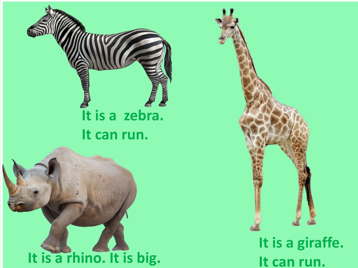 It is a giraffe. It can run. It is a rhino. It is big. It is a zebra. It can run.