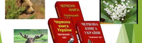 В Україні готують до публікації оновлене видання своєї Червоної книги - вже четверте