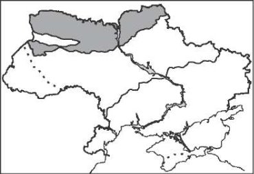 Картинки по запросу "контурна карта природні зони україни""