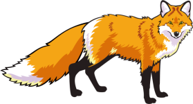 37-372165_red-fox-clipart-mammal-.png