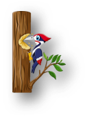 https://st2.depositphotos.com/7857468/12367/v/450/depositphotos_123679446-stock-illustration-woodpecker-on-the-tree.jpg
