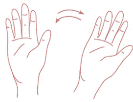 Результат пошуку зображень за запитом "зображення пальчикова гімнастика  рухи рук вліво вправо"
