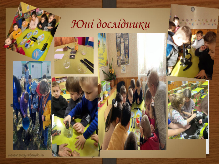Юні дослідники 