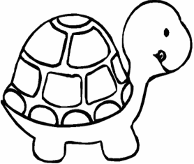 Картинки по запросу черепаха рисунок