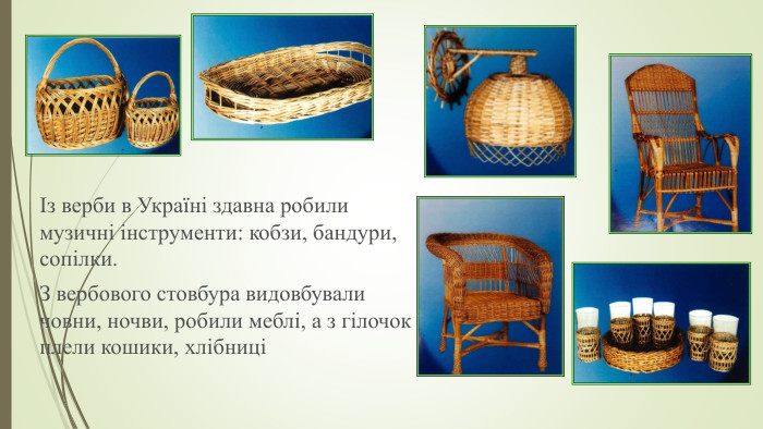 Із верби в Україні здавна робили музичні інструменти: кобзи, бандури, сопілки. З вербового стовбура видовбували човни, ночви, робили меблі, а з гілочок плели кошики, хлібниці