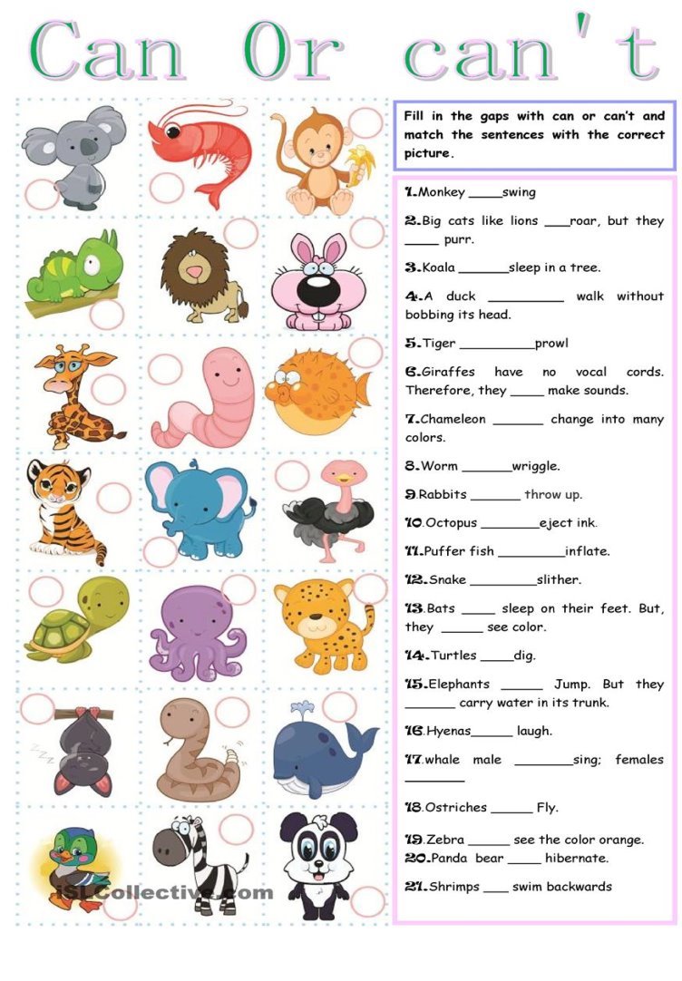 Can or can t | FREE ESL worksheets 
