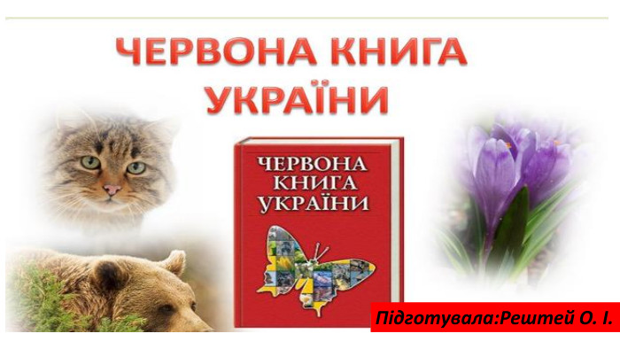 Підготувала: Рештей О. І.