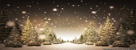 snow-path-christmas-tree-wallpapers-1024x768.jpg