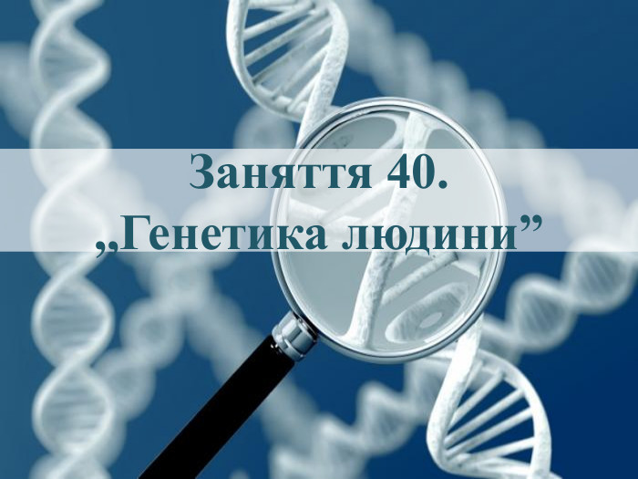 Заняття 40.,,Генетика людини” 