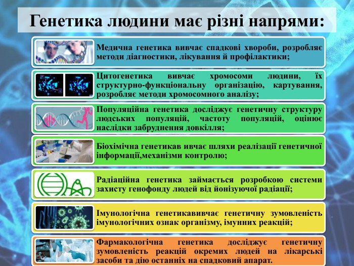 Генетика людини має різні напрями: