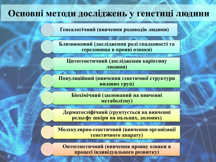 Основні методи досліджень у генетиці людини