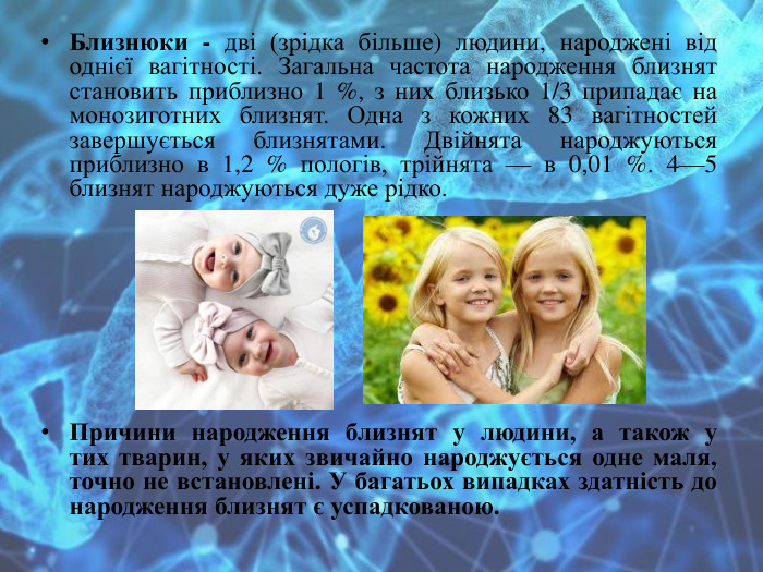 Близнюки - дві (зрідка більше) людини, народжені від однієї вагітності. Загальна частота народження близнят становить приблизно 1 %, з них близько 1/3 припадає на монозиготних близнят. Одна з кожних 83 вагітностей завершується близнятами. Двійнята народжуються приблизно в 1,2 % пологів, трійнята — в 0,01 %. 4—5 близнят народжуються дуже рідко. Причини народження близнят у людини, а також у тих тварин, у яких звичайно народжується одне маля, точно не встановлені. У багатьох випадках здатність до народження близнят є успадкованою.