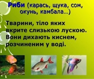 Презентація до уроку природознавства у 1 класі на тему "Риби ...