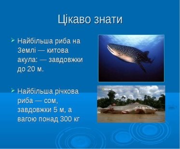 Риби - презентація з природознавства