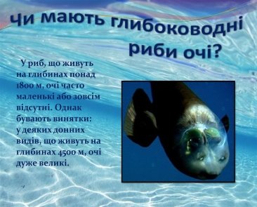 Цікаво про риб - online presentation