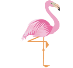 ÐÐ°ÑÑÐ¸Ð½ÐºÐ¸ Ð¿Ð¾ Ð·Ð°Ð¿ÑÐ¾ÑÑ flamingo drawing