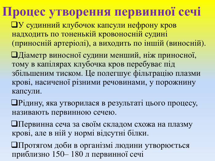 Процес утворення первинної сечіУ судинний клубочок капсули нефрону кров надходить по тоненькій кровоносній судині (приносній артеріолі), а виходить по іншій (виносній). Діаметр виносної судини менший, ніж приносної, тому в капілярах клубочка кров перебуває під збільшеним тиском. Це полегшує фільтрацію плазми крові, насиченої різними речовинами, у порожнину капсули. Рідину, яка утворилася в результаті цього процесу, називають первинною сечею. Первинна сеча за своїм складом схожа на плазму крові, але в ній у нормі відсутні білки. Протягом доби в організмі людини утворюється приблизно 150– 180 л первинної сечі
