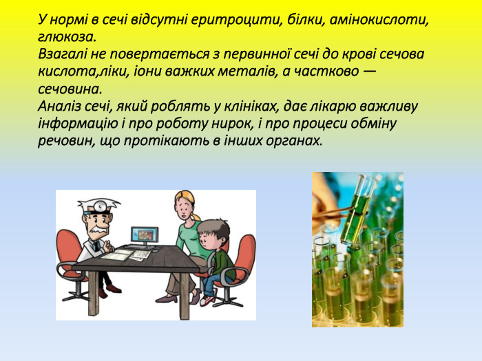 У нормі в сечі відсутні еритроцити, білки, амінокислоти, глюкоза. Взагалі не повертається з первинної сечі до крові сечова кислота,ліки, іони важких металів, а частково — сечовина. Аналіз сечі, який роблять у клініках, дає лікарю важливу інформацію і про роботу нирок, і про процеси обміну речовин, що протікають в інших органах.