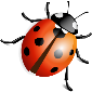 ladybug_PNG3970.png