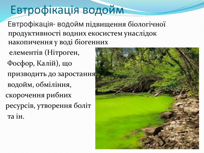 Евтрофікація водойм Евтрофікація- водойм підвищення біологічної продуктивності водних екосистем унаслідок накопичення у воді біогенних елементів (Нітроген, Фосфор, Калій), що призводить до заростання водойм, обміління, скорочення рибних ресурсів, утворення боліт та ін.