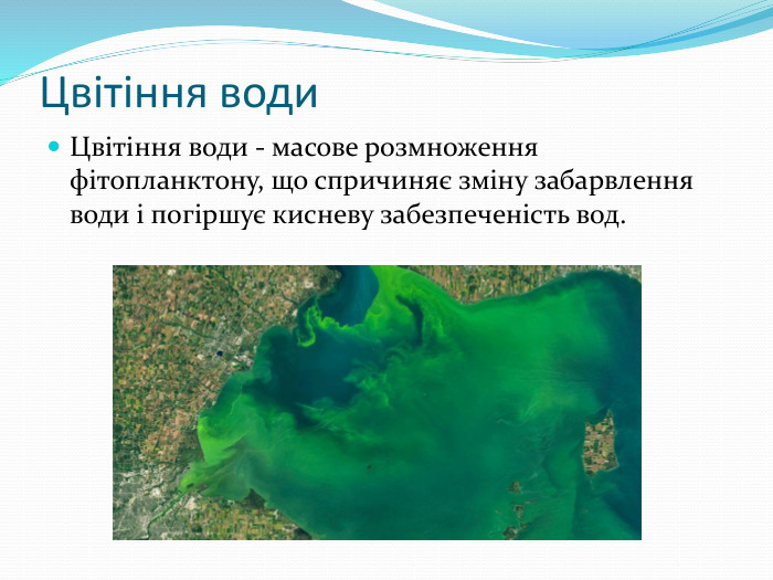 Цвітіння води. Цвітіння води - масове розмноження фітопланктону, що спричиняє зміну забарвлення води і погіршує кисневу забезпеченість вод.