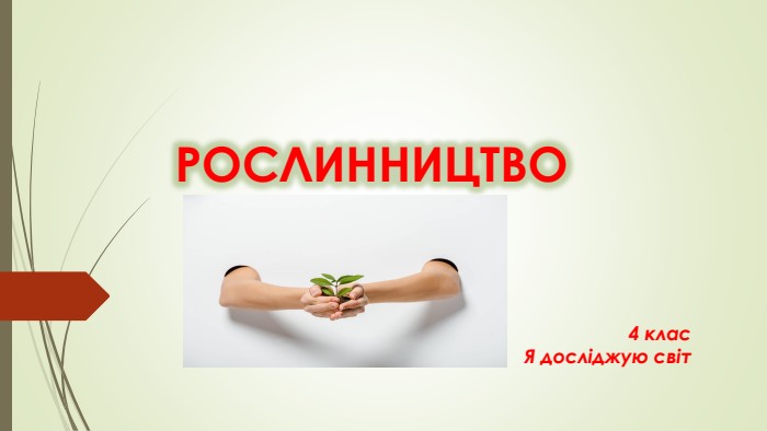 РОСЛИННИЦТВО4 клас. Я досліджую світ