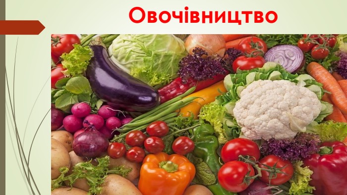 Овочівництво