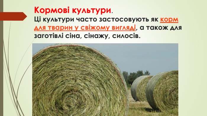 Кормові культури. Ці культури часто застосовують як корм для тварин у свіжому вигляді, а також для заготівлі сіна, сінажу, силосів.
