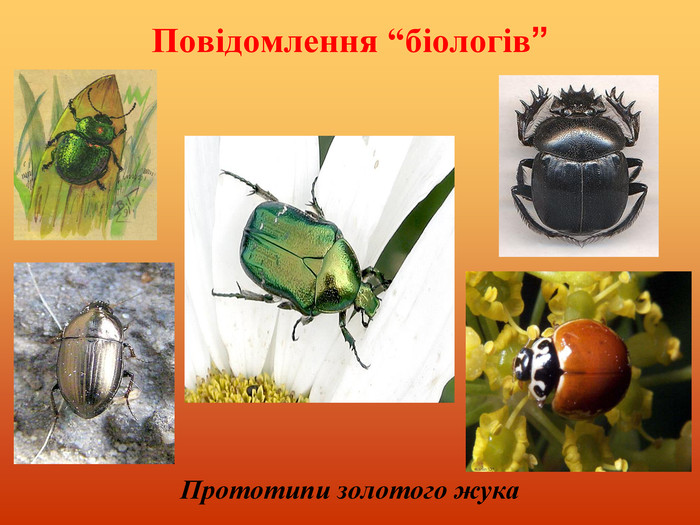 Повідомлення “біологів” Прототипи золотого жука 