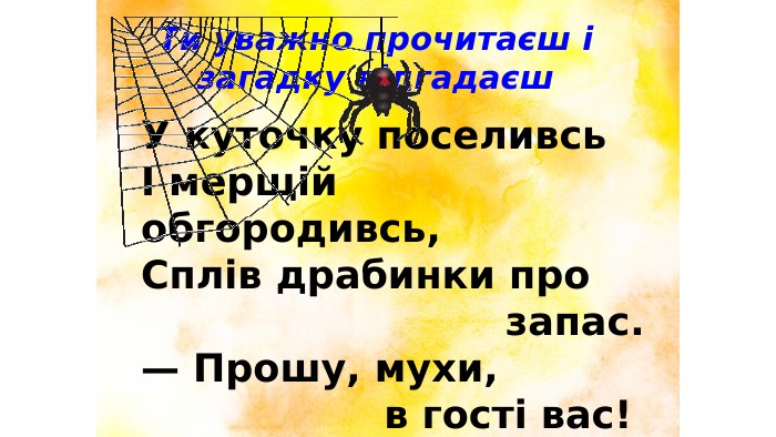 У куточку поселивсьІ мерщій обгородивсь,Сплів драбинки про запас.— Прошу, мухи, в гості вас!Ти уважно прочитаєш і загадку відгадаєш