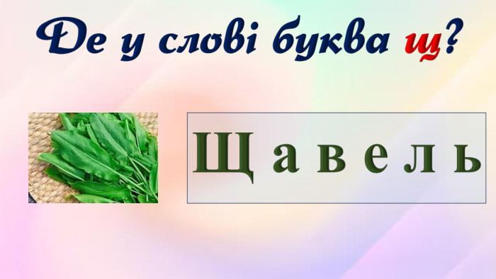 Щ а в е л ь