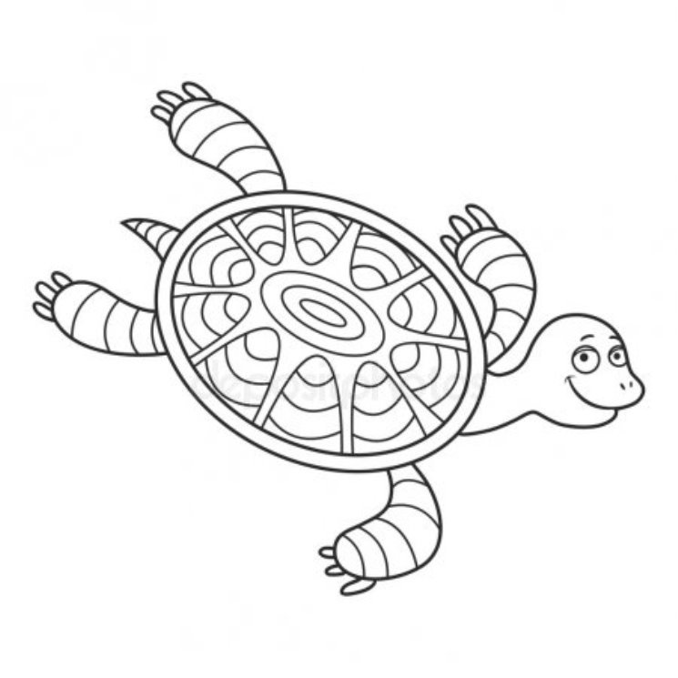 C:\Users\Аня\Downloads\depositphotos_89271444-stock-illustration-happy-sea-turtle-cartoon.jpg