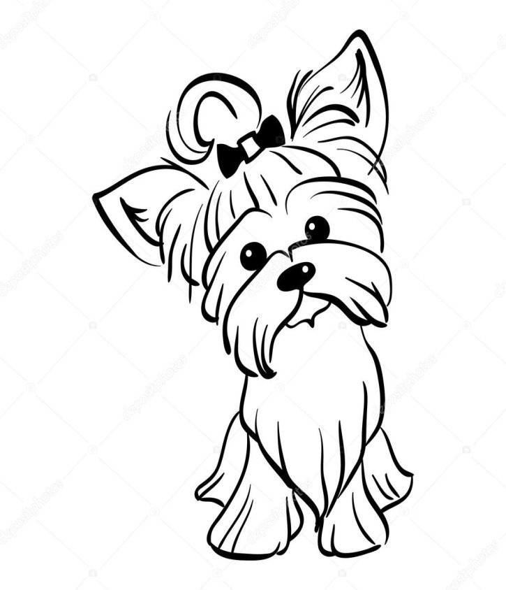 C:\Users\Аня\Downloads\depositphotos_112979942-stock-illustration-vector-sketch-funny-yorkshire-terrier.jpg
