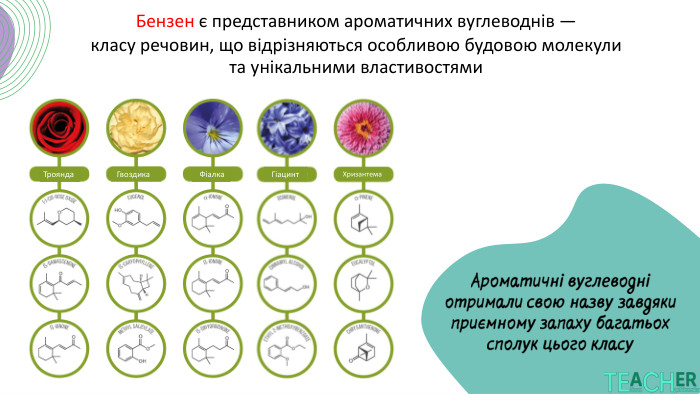 Бензен є представником ароматичних вуглеводнів — класу речовин, що відрізняються особливою будовою молекули та унікальними властивостями. Ароматичні вуглеводні отримали свою назву завдяки приємному запаху багатьох сполук цього класу. Троянда Гвоздика Фіалка Гіацинт Хризантема