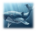 Результат пошуку зображень за запитом "фото кита"