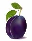 http://buysellgraphic.com/images/graphic_preview/large/plum_and_leaves_21153.jpg