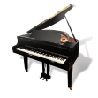 C:\Users\анна\Desktop\Musical instruments\piano.png