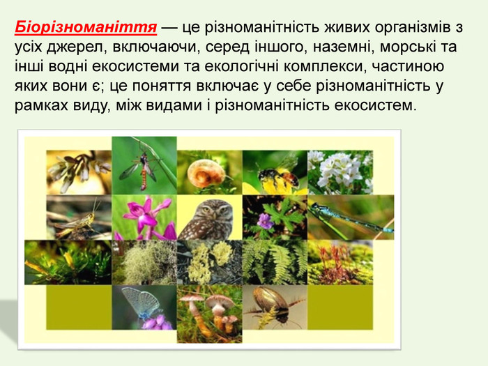 Реферат: Охорона видового різноманіття організмів 2